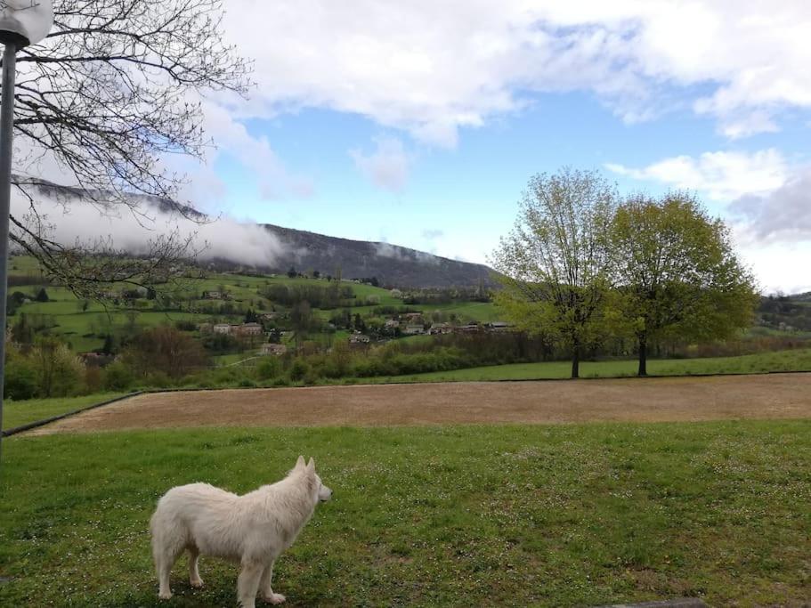 Logement Standing Wifi Vercors 'In Saint-Jean-en-Royans Exteriér fotografie