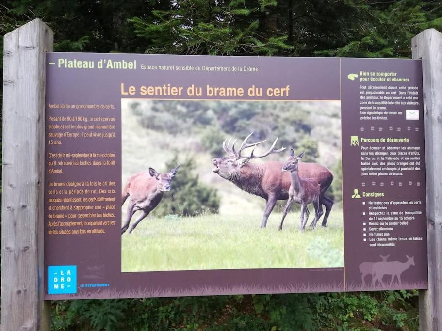 Logement Standing Wifi Vercors 'In Saint-Jean-en-Royans Exteriér fotografie